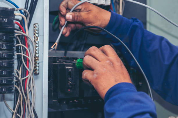 Best Local Electrician Companies  in Springhill, LA